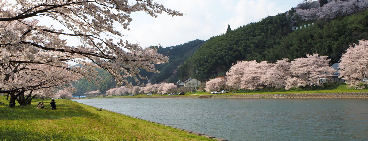 �������̍��X�|�b�g�u�O������͐�~�v�����̍��F�ƌ�߉��̉���