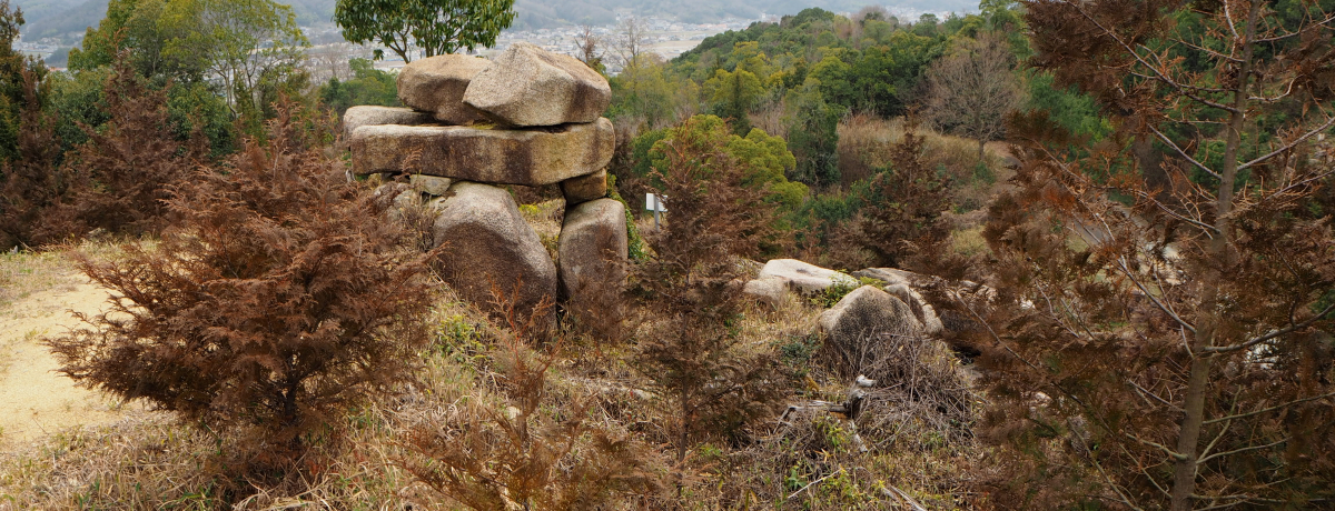 LE_ӒŌÑネ}̗`Õƍh_̈ӊOȊ֌W