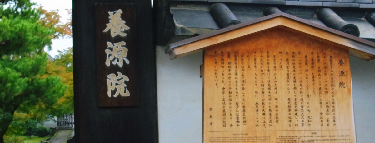 킶킭鋞su{@v`ȉ^ǂX̍Ɂc`