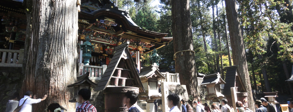 ֓w̌ÎЁIuO_Ёv̂v\ɋ󂷂ɂ́H