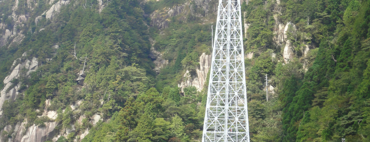 {̓SIOduݏ[vEGCvŃX_̋󒆎U