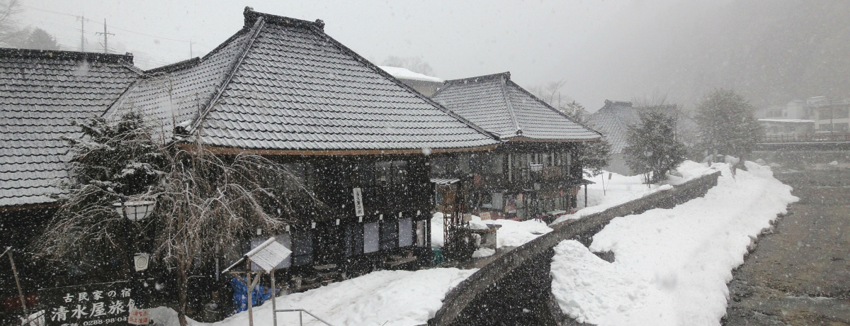 Ƃ̗l`ƂĒm铒쉷̃IXXUX|bg