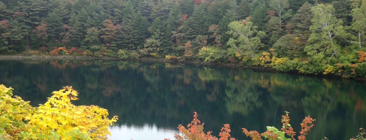 Rogu[ɋPuvIEyŌȂX|bg