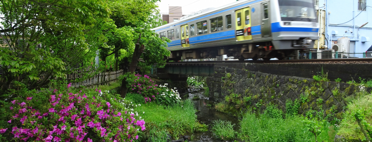 O̖uq~ςvBeȂRRI쉈̃JtFlC