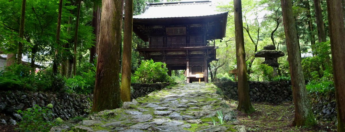 _`̎cp[X|bgIʉzuv̌ǂ