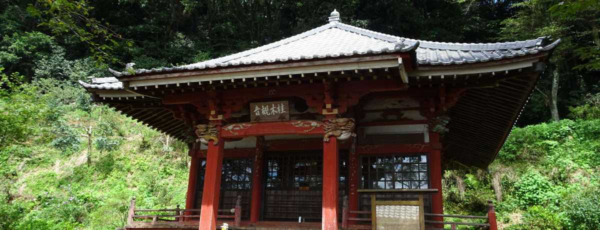 �����X�J�C�c���[�ɂ䂸���ǂ���I��ʁE�јC�R�u�j�؊ω��v�̊ό��|�C���g