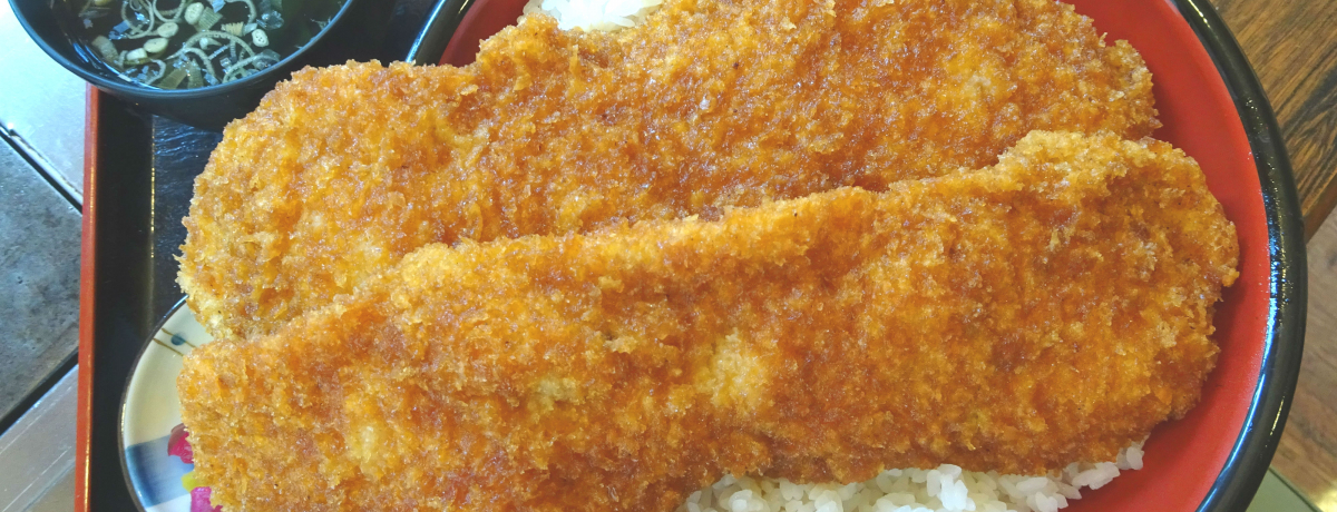 gK炶hɋIuvŊH`WĂ݂H