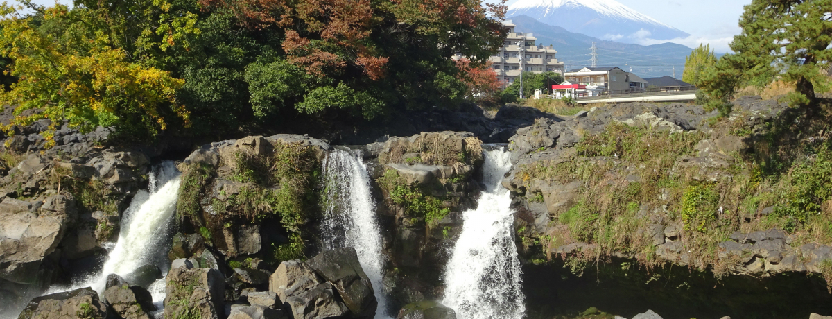 xmRƃR{钍ڂ̑IÉE򒬁ȗv