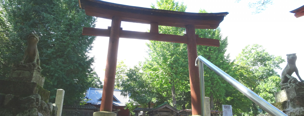 ܂ŗLIAjCMŕɂIu_Ёv̌ǂ