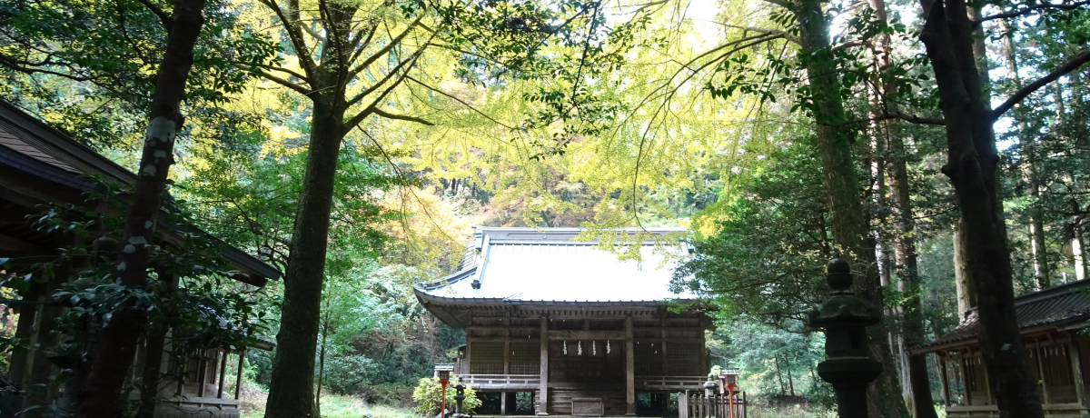 �f��E�h���}�Ȃǃ��P�����I�É��u�񉪐_�Ёv�͌�a��̉B�ꖼ��