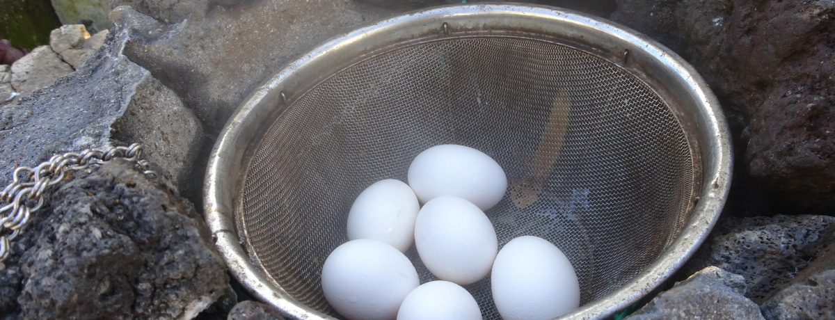 MCu̓v͉򗑂lC̒X|bgI