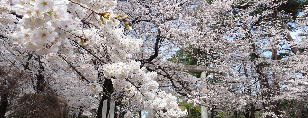 g{h炫邨ԌX|bgIʁu{v