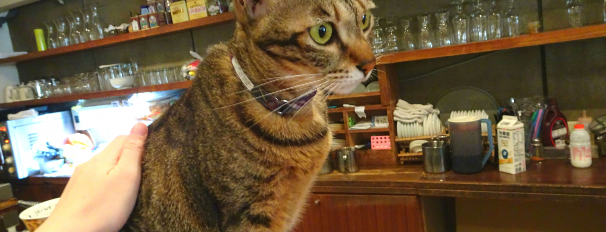 kw̐lCILJtFuɊcafeṽ͖lRlR[h