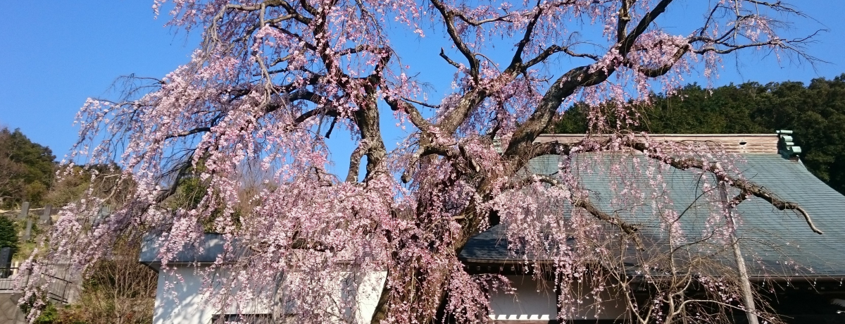 ̖Iɓ̍u@v͎q̌p[X|bg