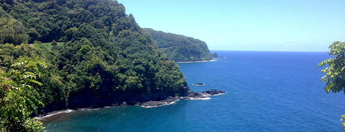 }ECuṼniv܂ł̑sRԃhCu