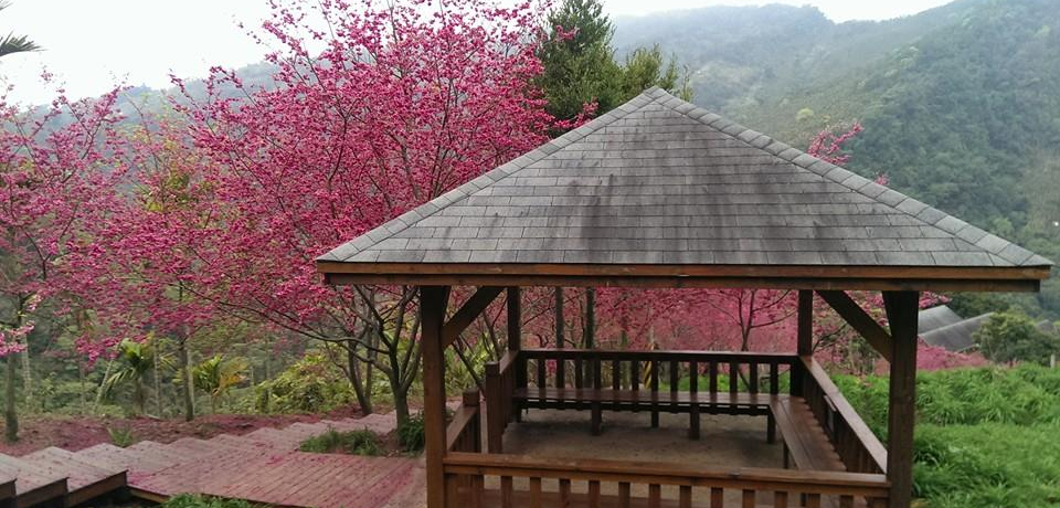 PɂgقǔI䒆VЂ̂ԔuSv