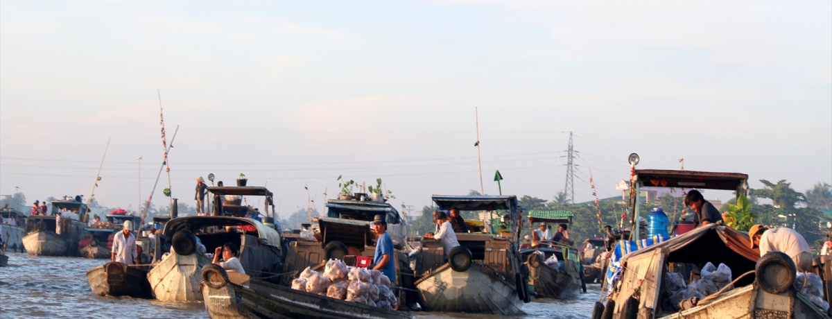 �J�C��������s��͕K���I�z�[�`�~���x�O�u�J���g�[�v���G���W���C�I