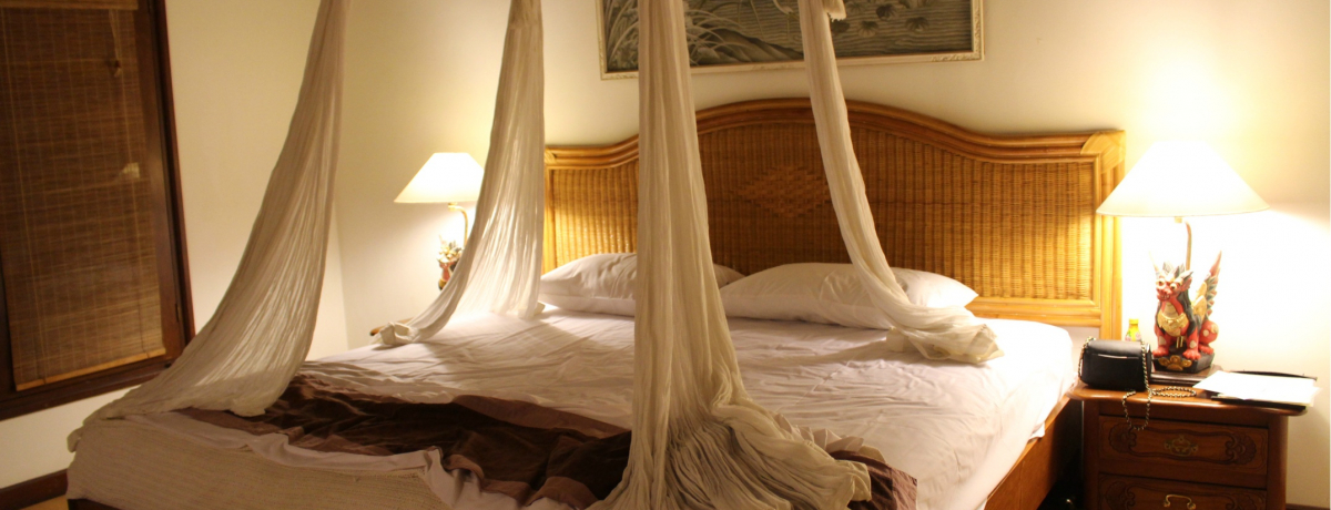 oEuh̃_E^EIuBE`FpJv͊όɂVbsOɂ֗