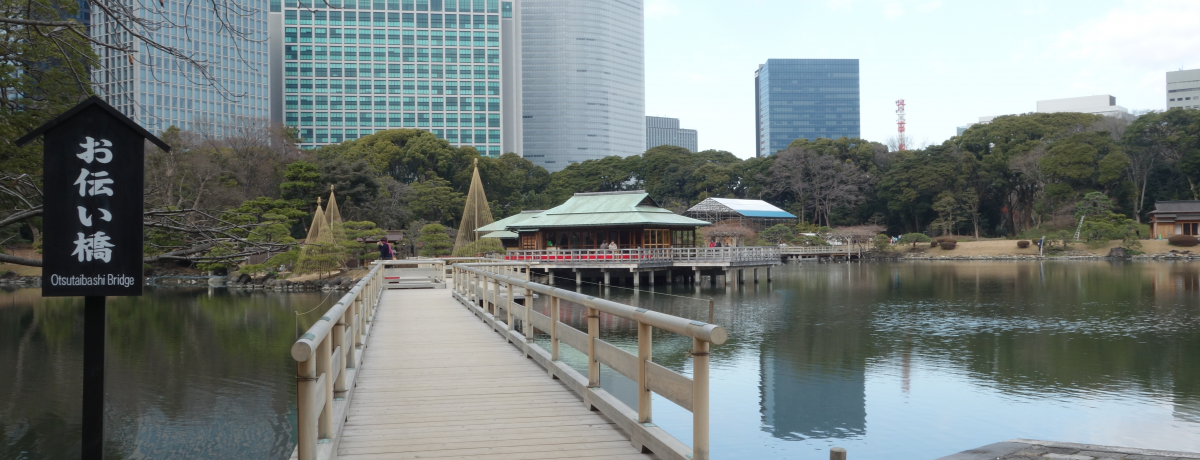 ̂V[TChDIHul{뉀v̐ӕiy