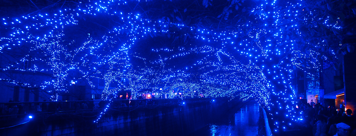 bE㊯REڍ`Igȉ㎿C~l[VU`