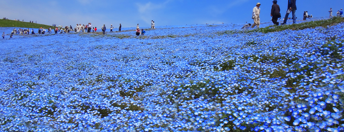 l^iHוIltB̐O~I͂ƃoXōsЂCl