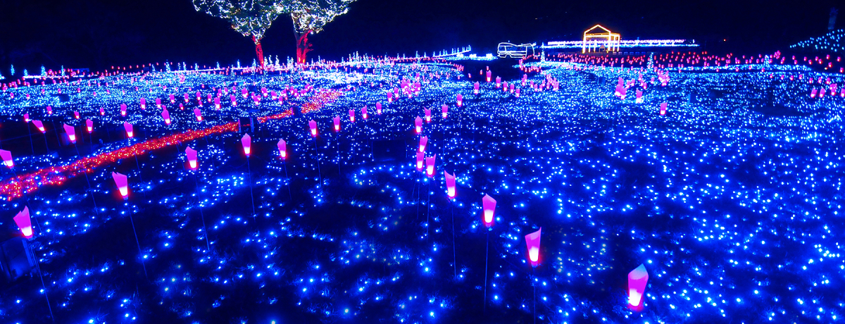 tE}U[quLLt@[v̂܂΂̃C~l[VI