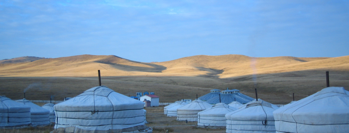 �呐���Ɛ���̃����S���E�Q���ɏh���I�D��h����Ƃ��y���h�H