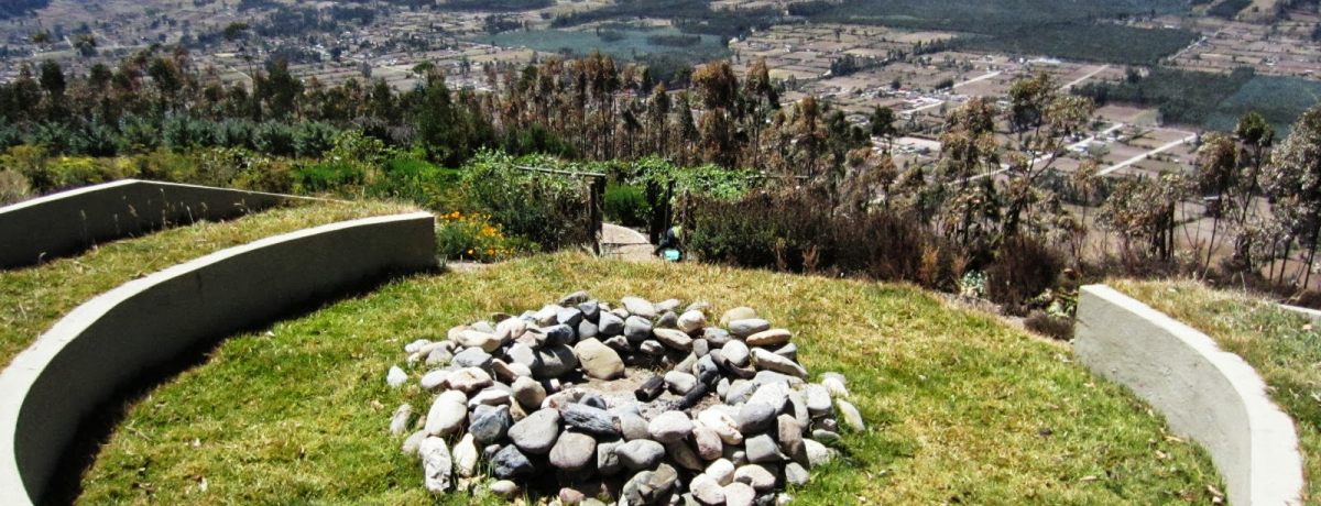 �A���f�X�R���ƃC���J�̃p���[�w�T�`���E�W�[�x�q�[�����O�z�e��