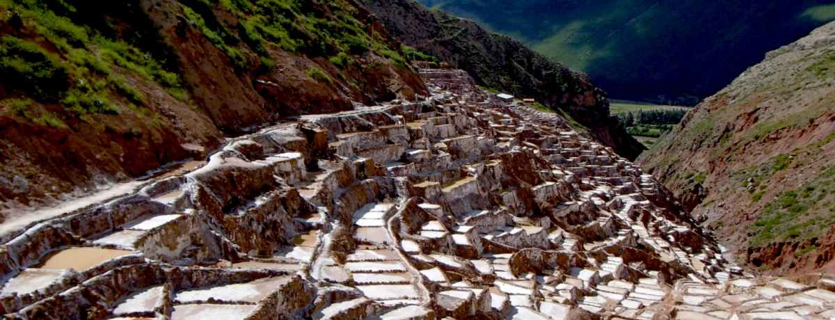 6�S�N�O���瑱���s�v�c�ȁu�}���X�̉��c�v���}�`���s�`���̓�����