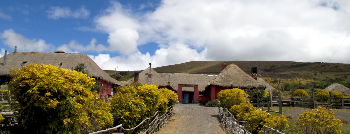 �g�G�N�A�h���̕x�m�R�h��]�ރz�e���u�A�V�G���_�E�G���E�|���x�j�[���v