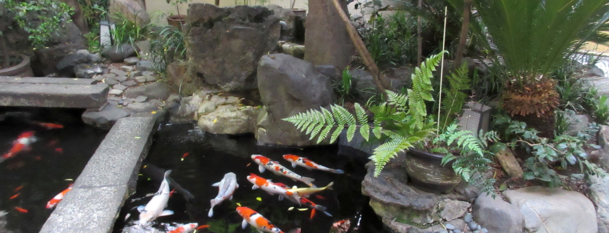 w߂ŕ͋CQIgyɋs𖞋iȂu tv