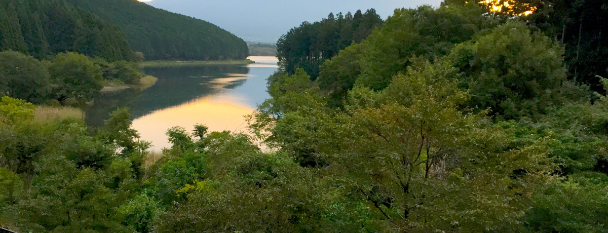 �����n�O�����ɉ���A�x�m�R�̐�i...�É��u�x�ɑ��x�m�v�Ŏ��R�̌b�ݖ��ڂ̑؍݂�