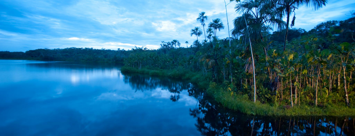 �鋫�A�}�]�������O�W���A���[�ɁI�G�N�A�h���u�T�`�����b�W�v�ő�l�̖`��