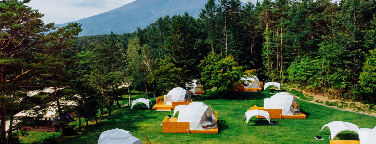 xmR[uPICA FujiyamaṽA[WOh[ŋɏ̃Lv