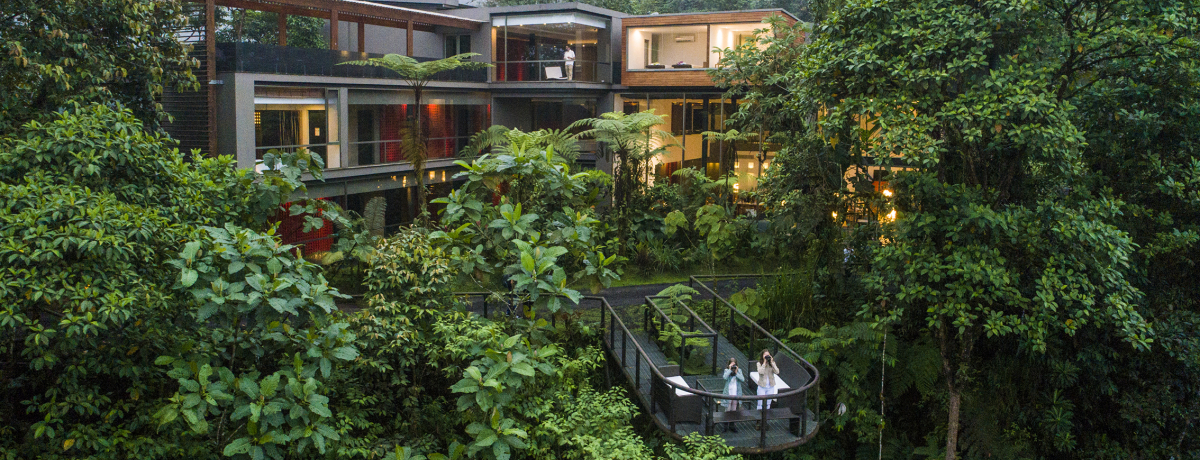 X̊y󒆎UIGNAhu}VsbWvŐ_Iȑ؍݂