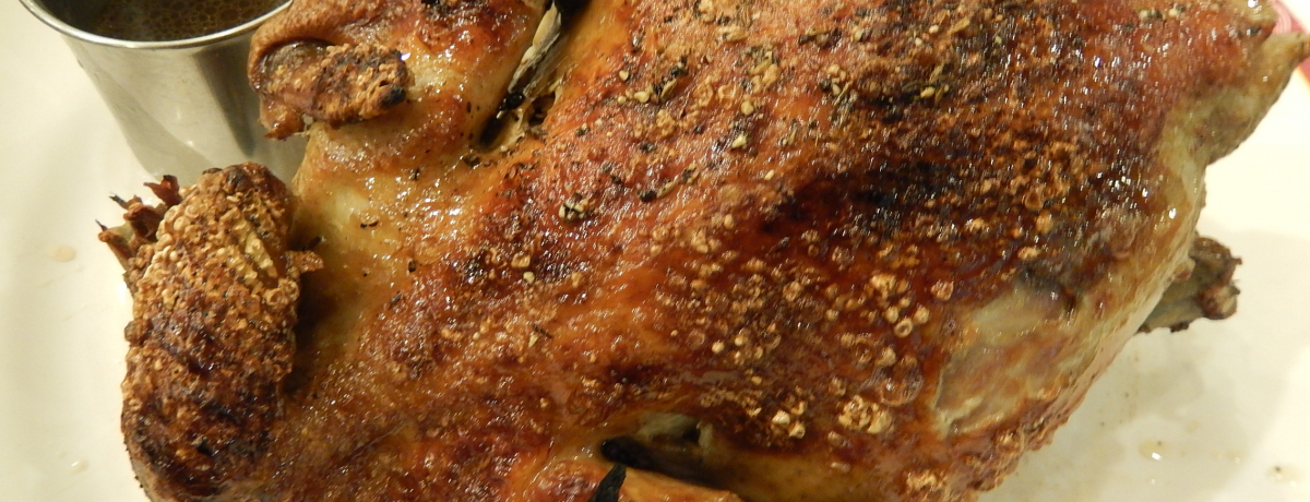 ���΂����ăW���[�V�[�I��p�E�ʌk���򖼕��u�{�̊ۏĂ��v�ɂ��Ԃ���I