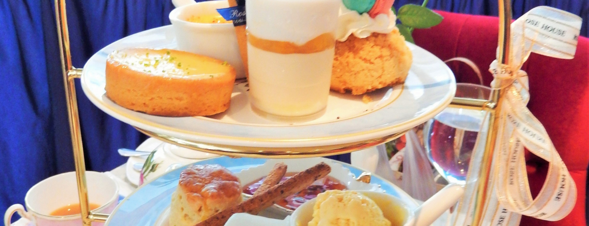 ���q���ɂ��X�X���I��k�̏��̎q�S�R����������J�t�F�S�I