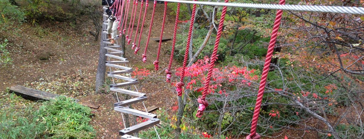 X̋󒆃gbLOIÃtHXgXe[W