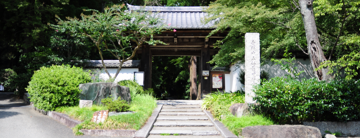 �閧�ɂ��Ă����������s�̖����A���`���{�������b�R��]��