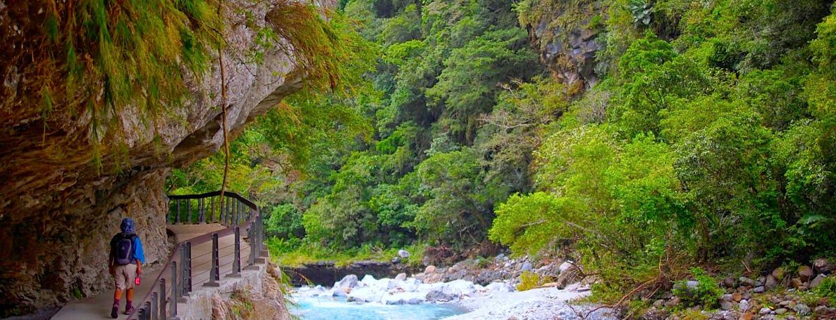 ��p�u���D�t���ƌ����v�g���b�L���O�Ɛ�Z�����ɏo���