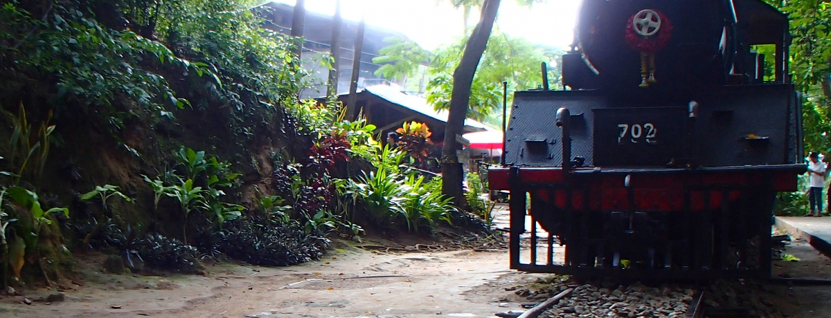 fuɂ鋴v̕ ^CזɓS̗