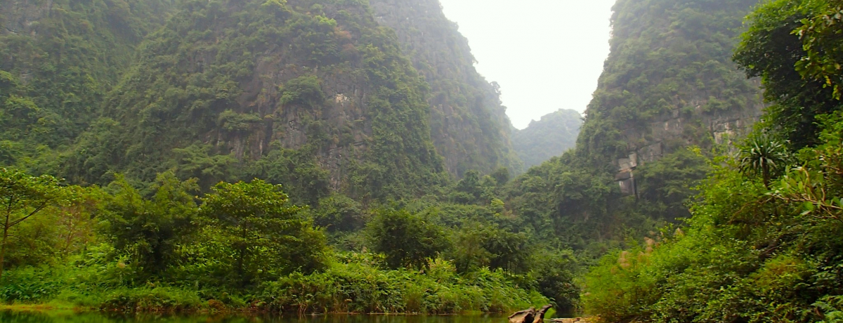 ���̃n�����p�I2014�N���E��Y�ɓo�^ �x�g�i���u�`�����A���v�őD�̗�