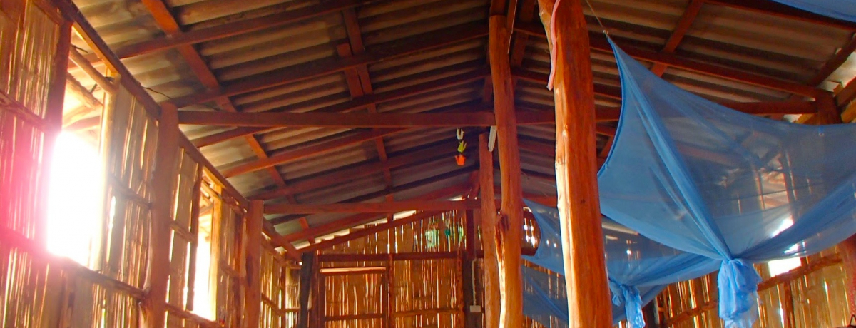 ^Cƕ炵IIRĆuou[nEXv