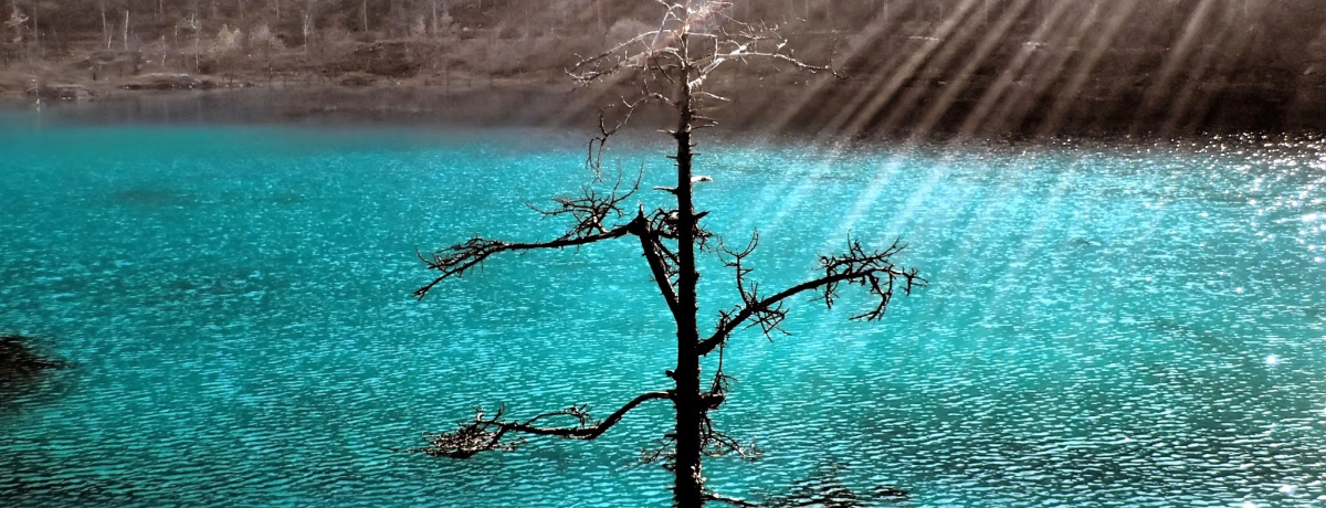 ސi͗p[X|bgI_ȁuʗRivŉï𐾂I