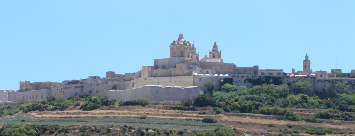 �}���^���E�Î�̌Ós�̓@��z�e���u�V���[���p���X�E�������V���g�[�v