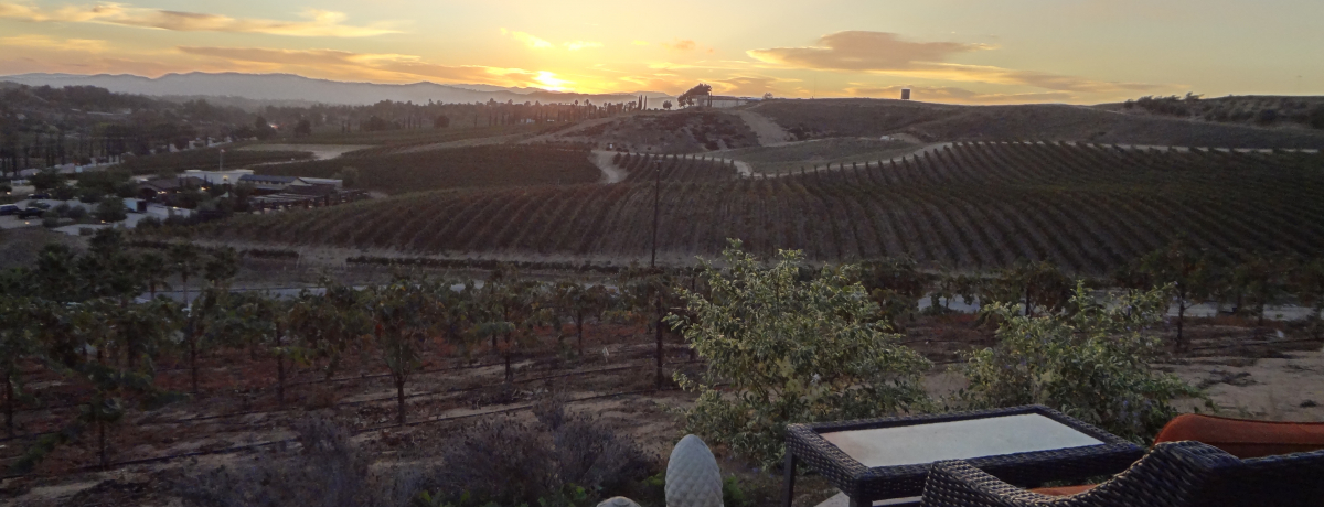 ���C�i���[�ɑ؍݁I�C���A�b�g���[���b�p�r���b�W�͕āE�e���L�����̃O������B&B