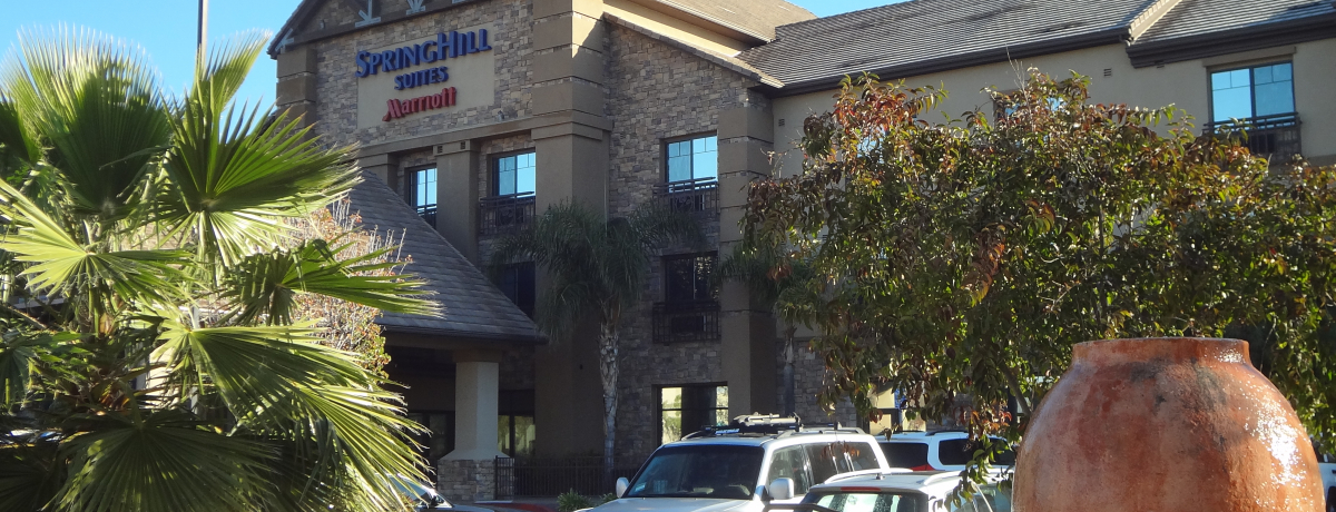 RXpngoodIXvOqXC[c͕āEeL̈ꉟze