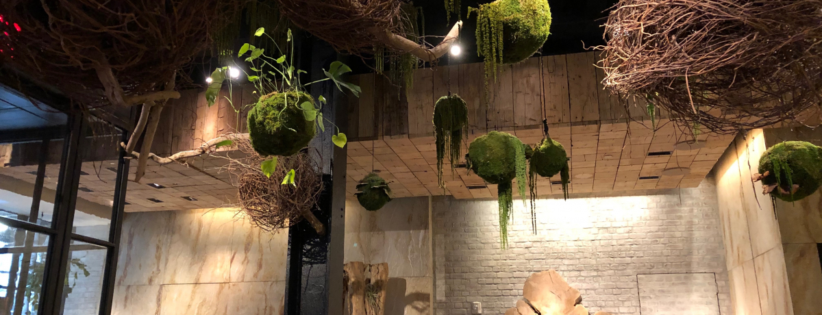 �j���[���[�N�u1 Hotel�v�͑�s��ɂ���l�C�`���[�I�A�V�X