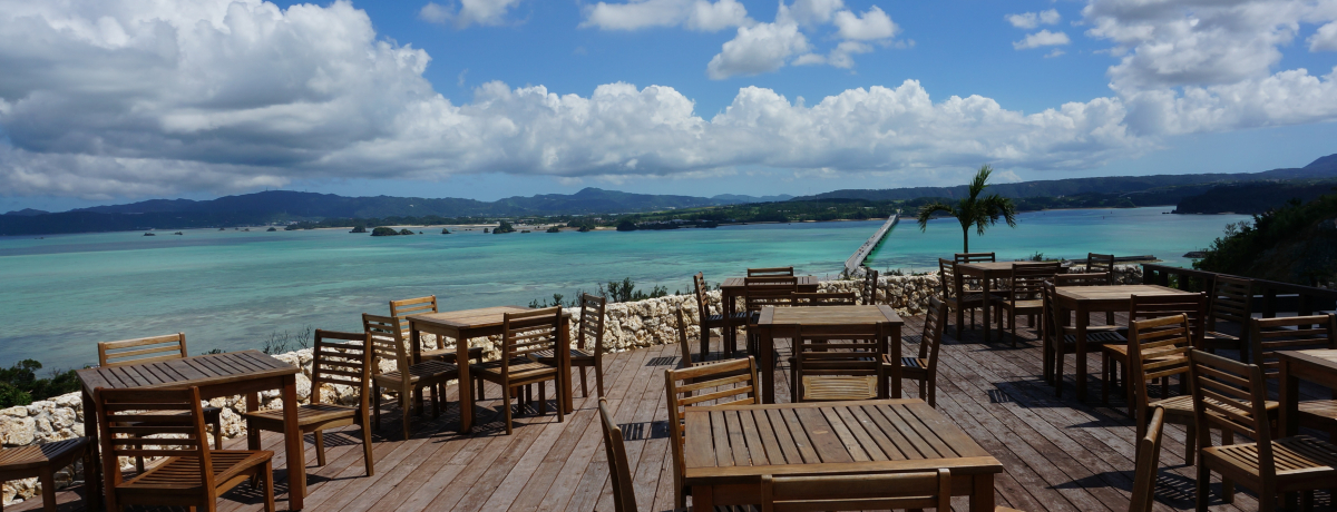 ̐VIÉFI[V^[݃̕JtFJI][gJtF̐i͊G̐E