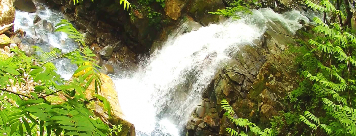 SōsAߐ{̔鋫uXbJ̑ꏄv